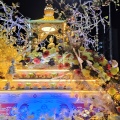 Wesak day 2025 Budha Chariot
