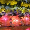 Wesak day 2025 Budha Chariot