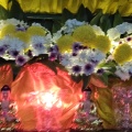 Wesak day 2025 Budha Chariot