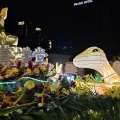 Wesak day 2025 Budha Chariot