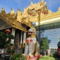 Penang Wesak Day 2025