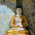 Penang Wesak Day 2025