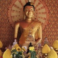 Penang Wesak Day 2025