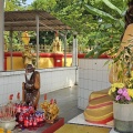 Penang Wesak Day 2025